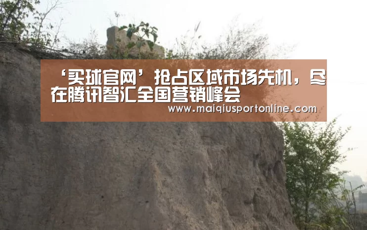 ‘买球官网’抢占区域市场先机,尽在腾讯智汇全国营销峰会(图2) 世界杯赛程