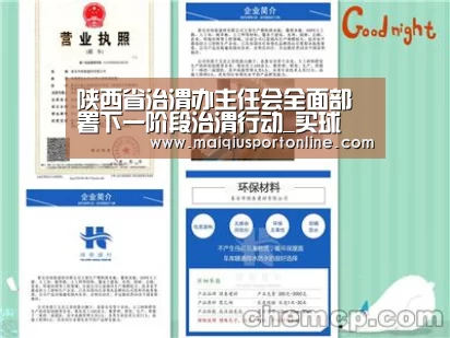 陕西省治渭办主任会全面部署下一阶段治渭行动_买球
