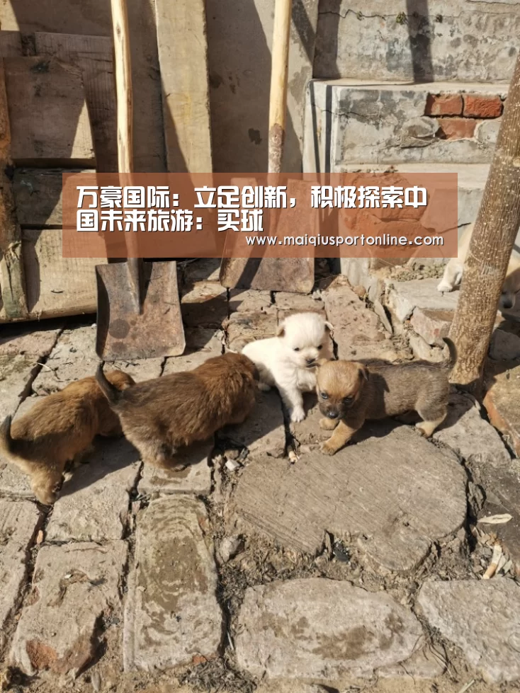 万豪国际：立足创新，积极探索中国未来旅游：买球